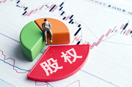 股权转让中的税务筹划原则与专项审计要点